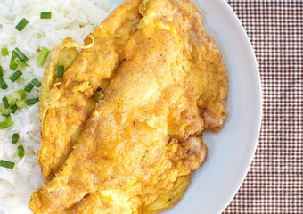 Tasty Omelet and rice