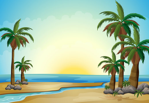 Palm trees at the beach