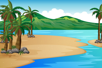 Fototapeta na wymiar A beach with palm trees