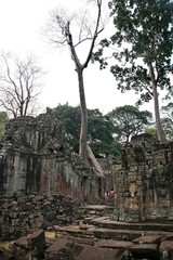 Fototapeta premium angkor wat in cambodia