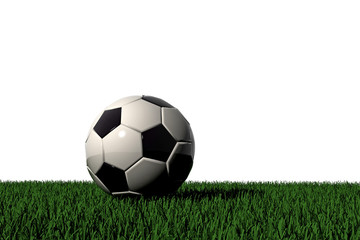 Obraz premium Fussball auf grünem Rasen