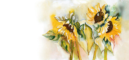 Sunflowers - 55484108