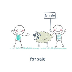 selling sheep