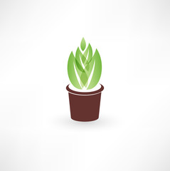Flower in a pot icon