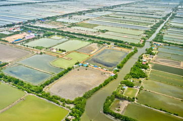 Aerial view of rice field terraces in Thailand