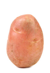 Red potato on white background