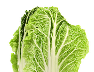 Chinese cabbage on white background