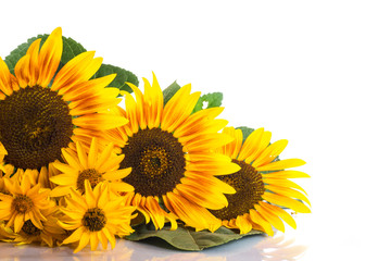  bouquet of sunflowers