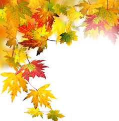 Naklejka na ściany i meble Jesień: Falling, kolorowe liście