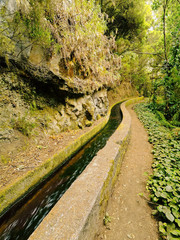 Fototapeta premium Nacientes Marcos y Cordero Trail, La Palma