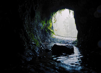 Nacientes Marcos y Cordero Trail, La Palma