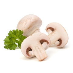Fototapeta na wymiar Champignon mushroom and fresh parsley