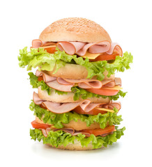 Junk food hamburger