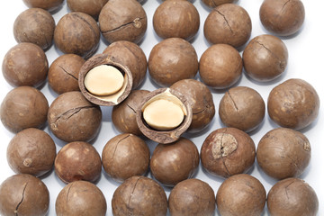 Macadamia fruit isolated on the white background