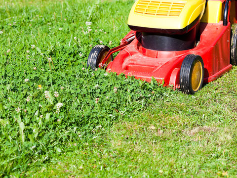 lawn mower mows green lawn