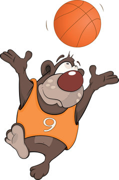 Bear the basketball player cartoon