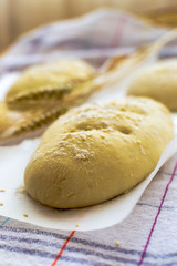 Bread