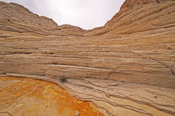 A Natural Amphitheater in the Desert