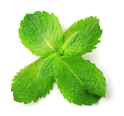 Fresh mint leaves isolated on white