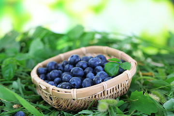 Blueberries in wooden basket on grass on nature background