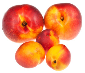 several ripe nectarines