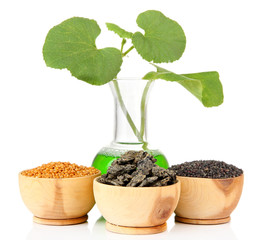 Conceptual photo of bio fuel.  Isolated on white