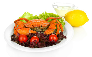 Boiled crab