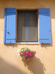 Blue shutters.