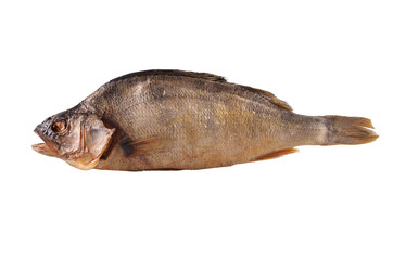 Fototapeta premium Fish