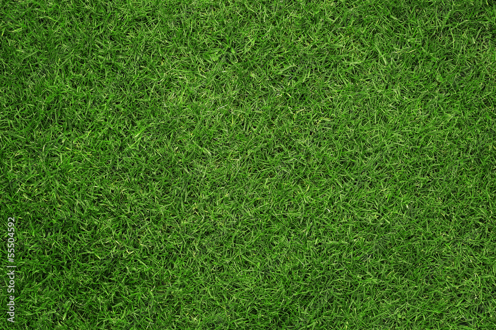 Aufkleber close up of green grass texture, background with copy space