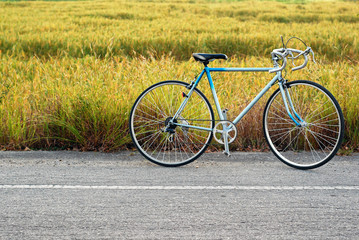 Fototapeta na wymiar vintage bicycle standing on the road