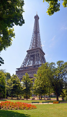 Vertical Panorama of Eiffel Tower, Paris France.