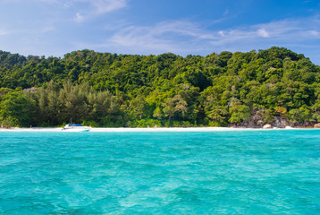 Tachai Island, Thailand