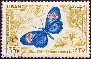 Small postman butterfly (Heliconius cyrbia) (Lebanon 1965)