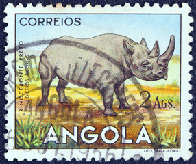 Black Rhinoceros (Angola 1953)