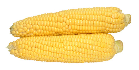 Corn On The Cob