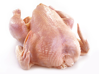 fresh chicken