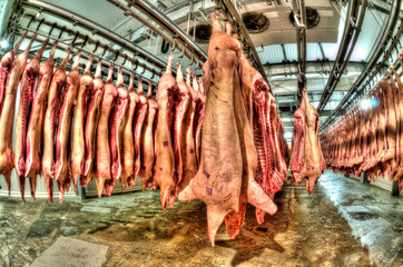 Fototapeta na wymiar Fresh meat in a cold cut factory