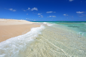 南国の美しいビーチと紺碧の空