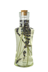 Lavendelöl in Flasche mit Korken freigestellt auf weiß