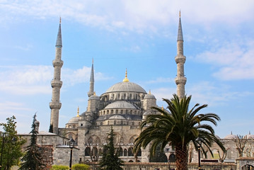 Fototapeta na wymiar The Blue Mosque, (Sultanahmet Camii), Istanbul, Turkey