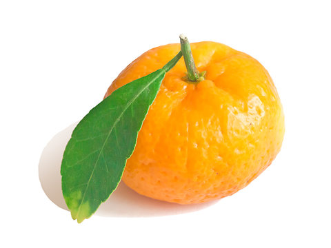 Chinese fresh tangerine, isolated on white background