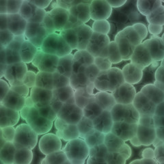 bacteria background