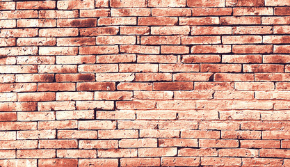 Background of brick wall texture