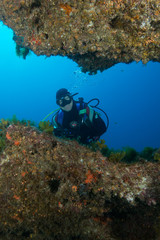 Fototapete bei efototapeten.de bestellen   