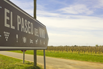 The wine walk, Uruguay - 55520720