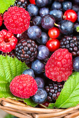 Berries mix closeup
