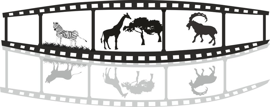 Film of life