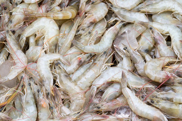 pile of prawns