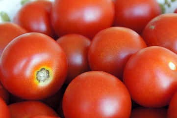 Closeup of a bunch of fresh tomatoes